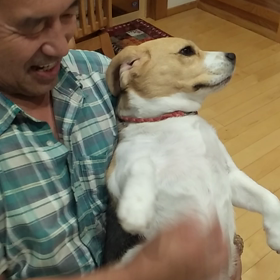 デブモカという楽器の画像