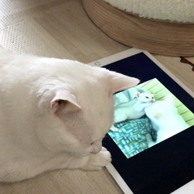 らったん　元気になりました！の画像