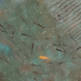 大きくなった、、、気がするwの画像