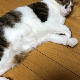 朝から娘の電話で起こされて…の画像