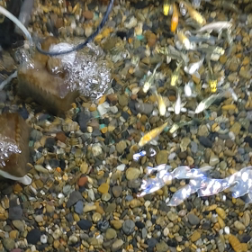 病院帰りその1の画像