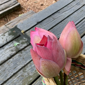 自分が自分を認めるの画像