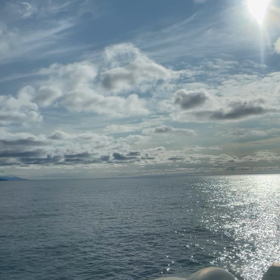 フラットなのか？の画像