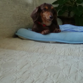 おいでおいで♪の画像