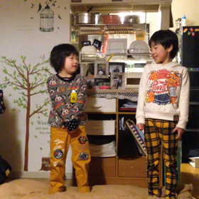 最近のブームの画像