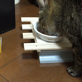 夜 その10の画像