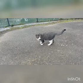 二女三女の画像