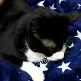 半分終了の画像