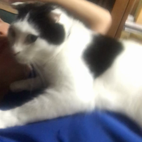 アタックの画像