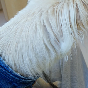 小刻みに震えが止まらないの画像