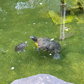 男の子？女の子？の画像