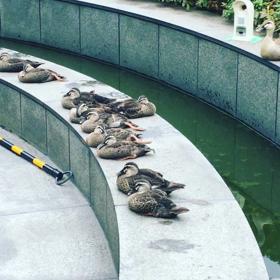 Full moon tonight 【452 453 】の画像