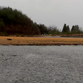 2024年1月21日（日）のおわらサーキットの画像