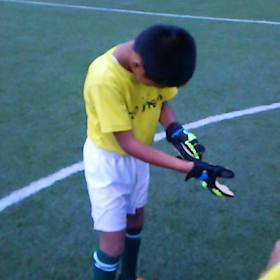 動画集・((T_T))！！の画像