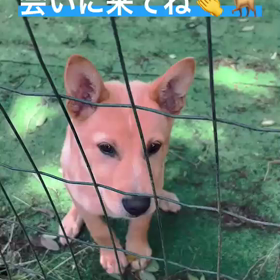 今日も休日出勤からのテアトルアカデミーの画像