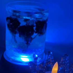 高いキーは、出ないけど、楽しみつつ♡  ＆　39本／100本の画像