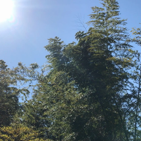 洗濯日和片付け日和の画像