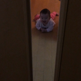 きたきたの画像