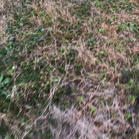 ちょっとぷんぷんする和平。の画像