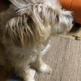 要求です。の画像