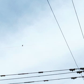 私を生きようの画像