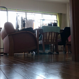 今頃年賀状…一人遊びデール！の画像