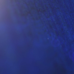 オバマ大統領がノーマスクでお誕生日パーティーの画像