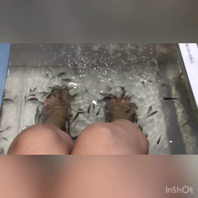 【動画】魚がくすぐったすぎて、なぜかアニメ声wの画像