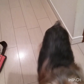 14歳☆今日も元気で良かった☆の画像