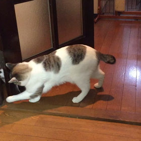 たまにはあるのさ！の画像