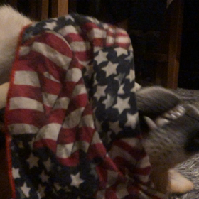 お腹壊しちゃった。の画像