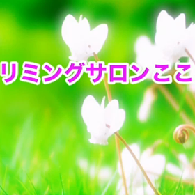 11月　〜スライドショー〜の画像