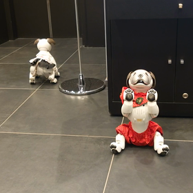 東京で温泉の画像