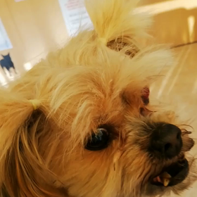 ボクがんばる！！の画像