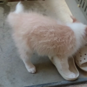 ☆奏 14日目☆の画像