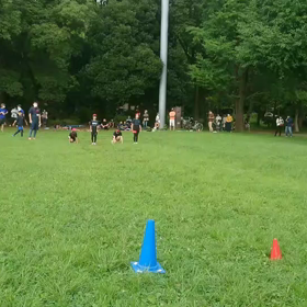 ダッシュ(赤・黄グループ)②の画像