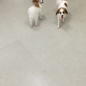 ♪プレイルーム動画♪の画像