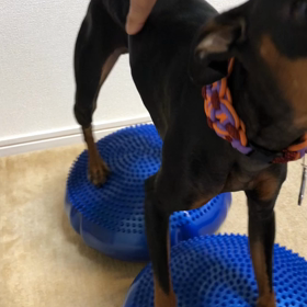 チョイ足しトレーニングの画像