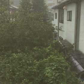 暴風雨の画像