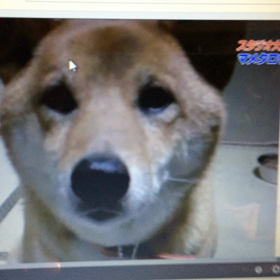 グー（笑）の画像