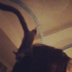 それぞれの画像