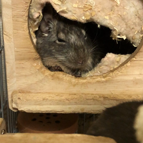 そんなに眠い？の画像