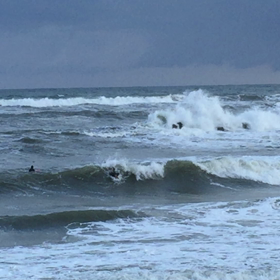 今朝波、その2 なべちゃんの画像