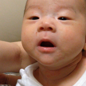 おしゃべり 1の画像