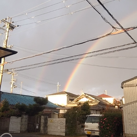 また見れた！の画像