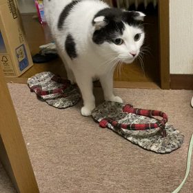 接近中！の画像