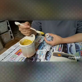 麦ちゃん雛の時の餌やりの画像