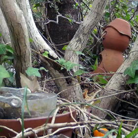 すぎぴたんの事件簿シーズン２　２９話の画像