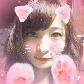 ねこのきもちの画像