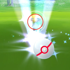 UMA捕まえてきたの画像